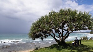 Una playa bordeada de árboles, con un banco y una persona sentada.