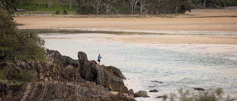Pesca