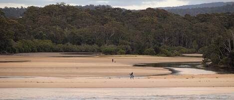 On the beach, fishing