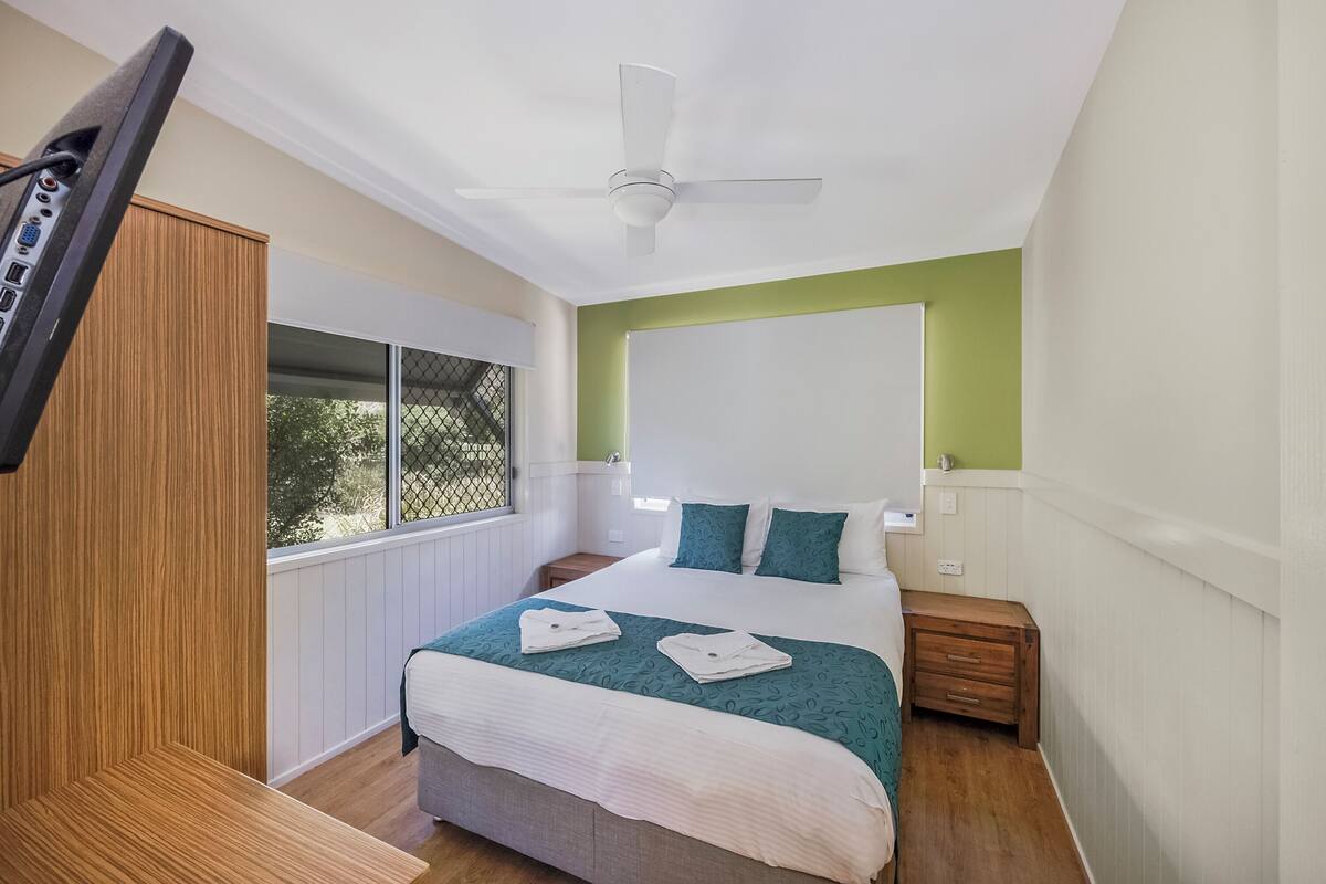 A bedroom with a bed, a ceiling fan, a TV mounted on the wall, and a window with a view of trees.