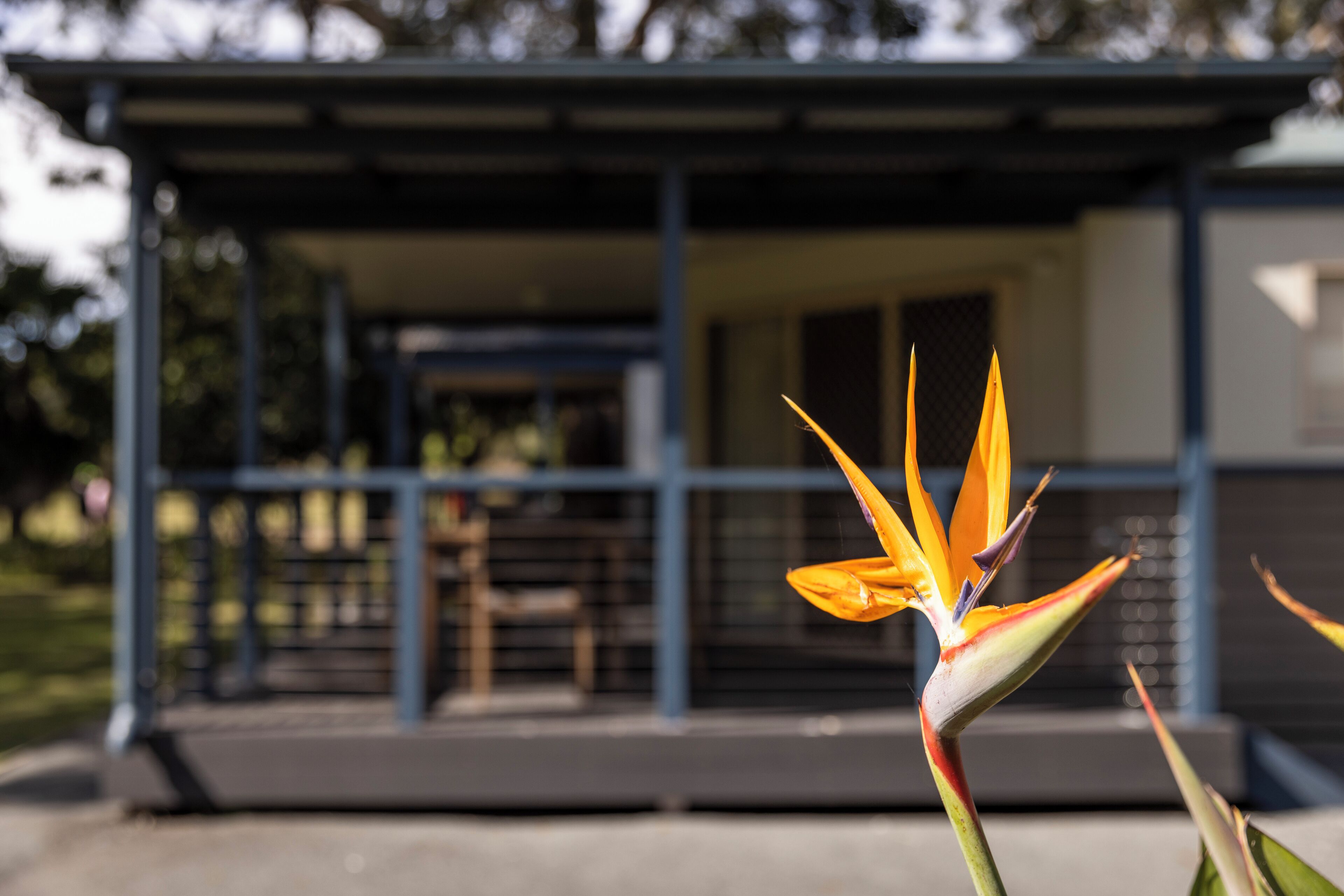 A building with a covered porch and a bird of paradise flower in the foreground.