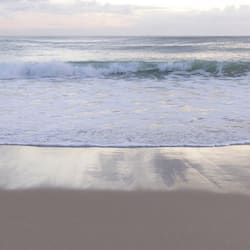 Trên bãi biển, lướt sóng/lướt ván, câu cá