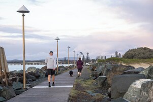 A pathway with rocks and lamp posts, leading towards a body of water with a bridge in the background.