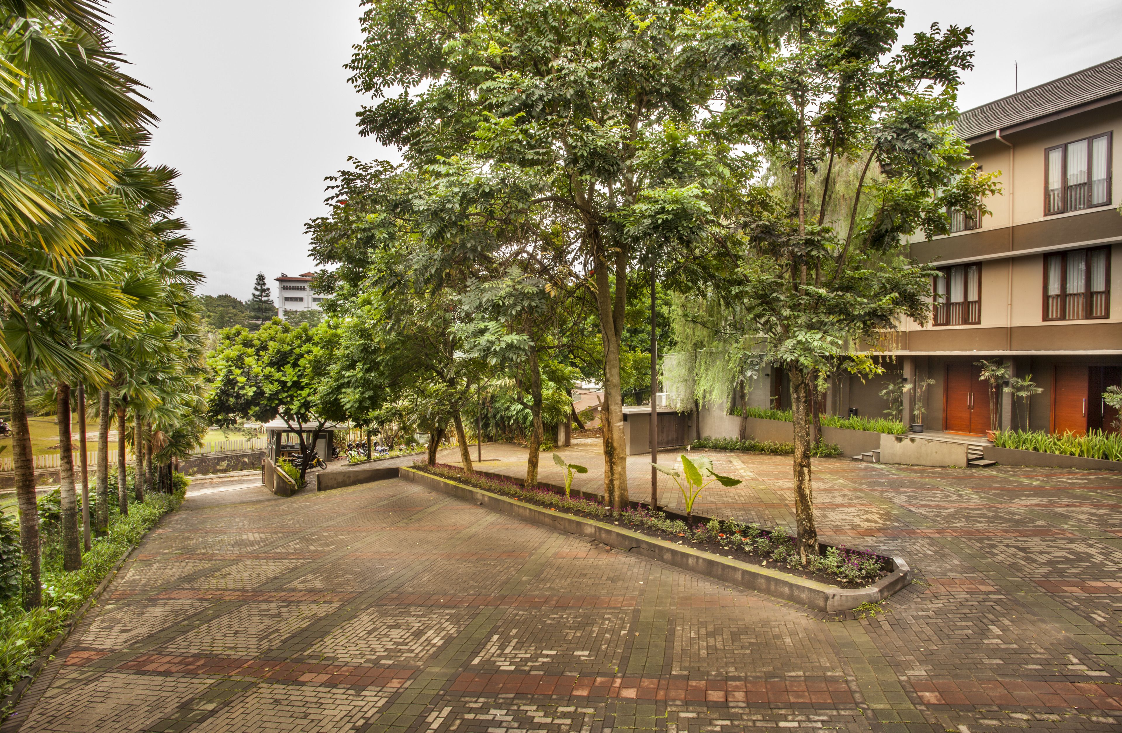 A courtyard with a brick pathway, surrounded by trees and a building with multiple windows and balconies.