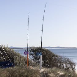 Fishing