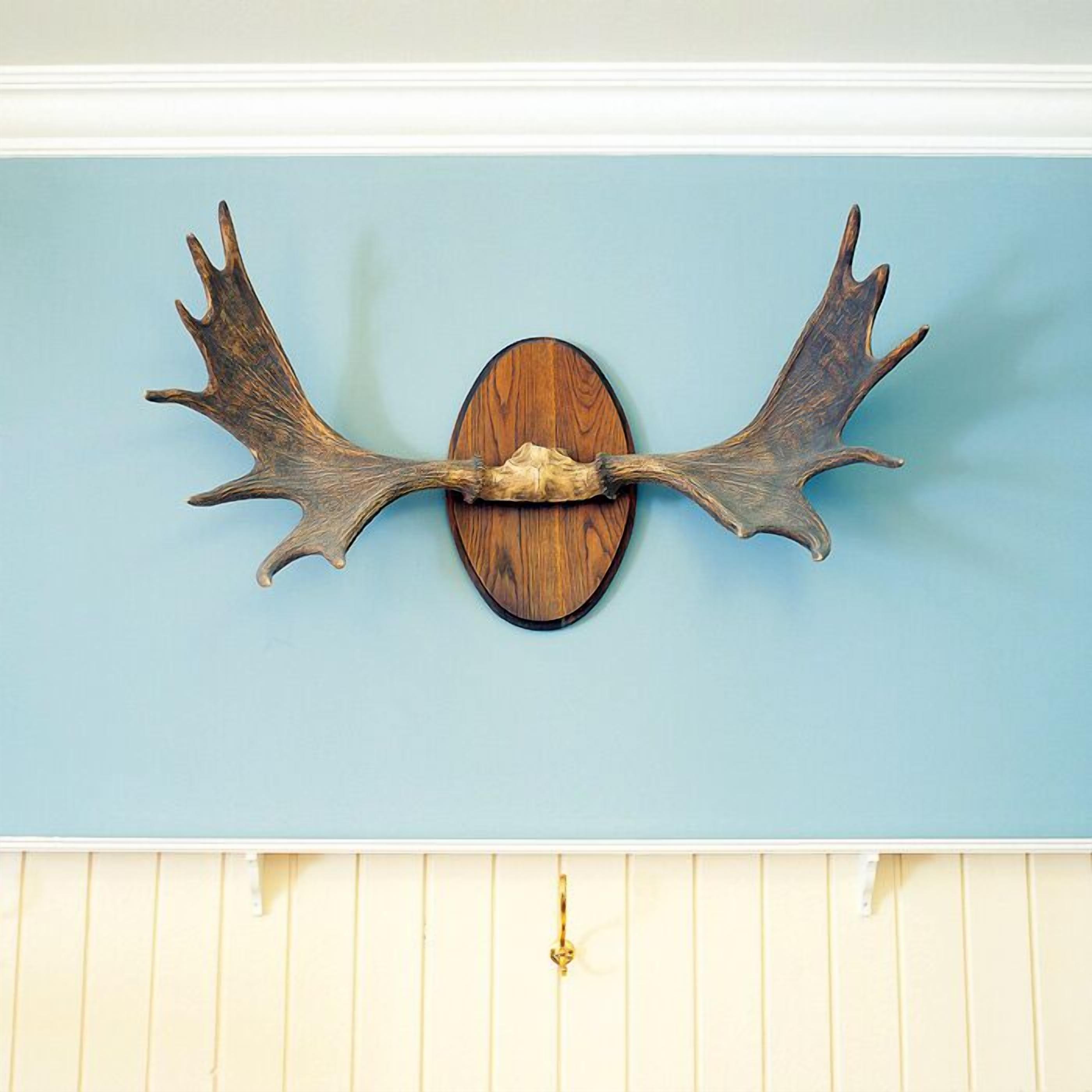 Une décoration murale représentant des bois de cerf, fixée sur un mur bleu, avec un panneau en bois en dessous.