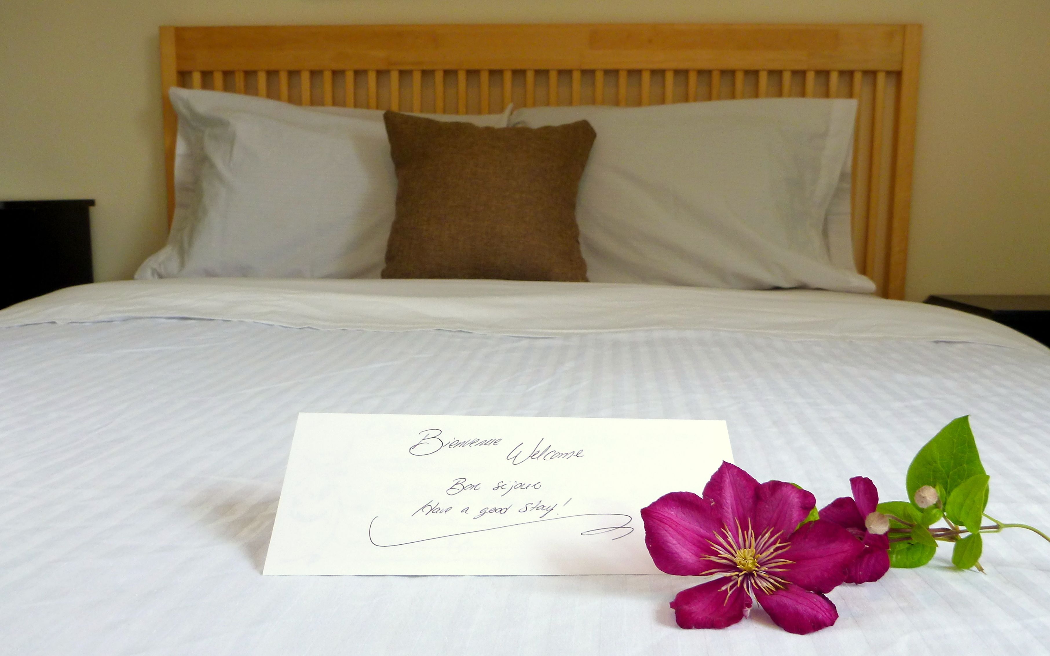 studio, 1 queen bed | premium bedding, desk, blackout curtains, bed sheets