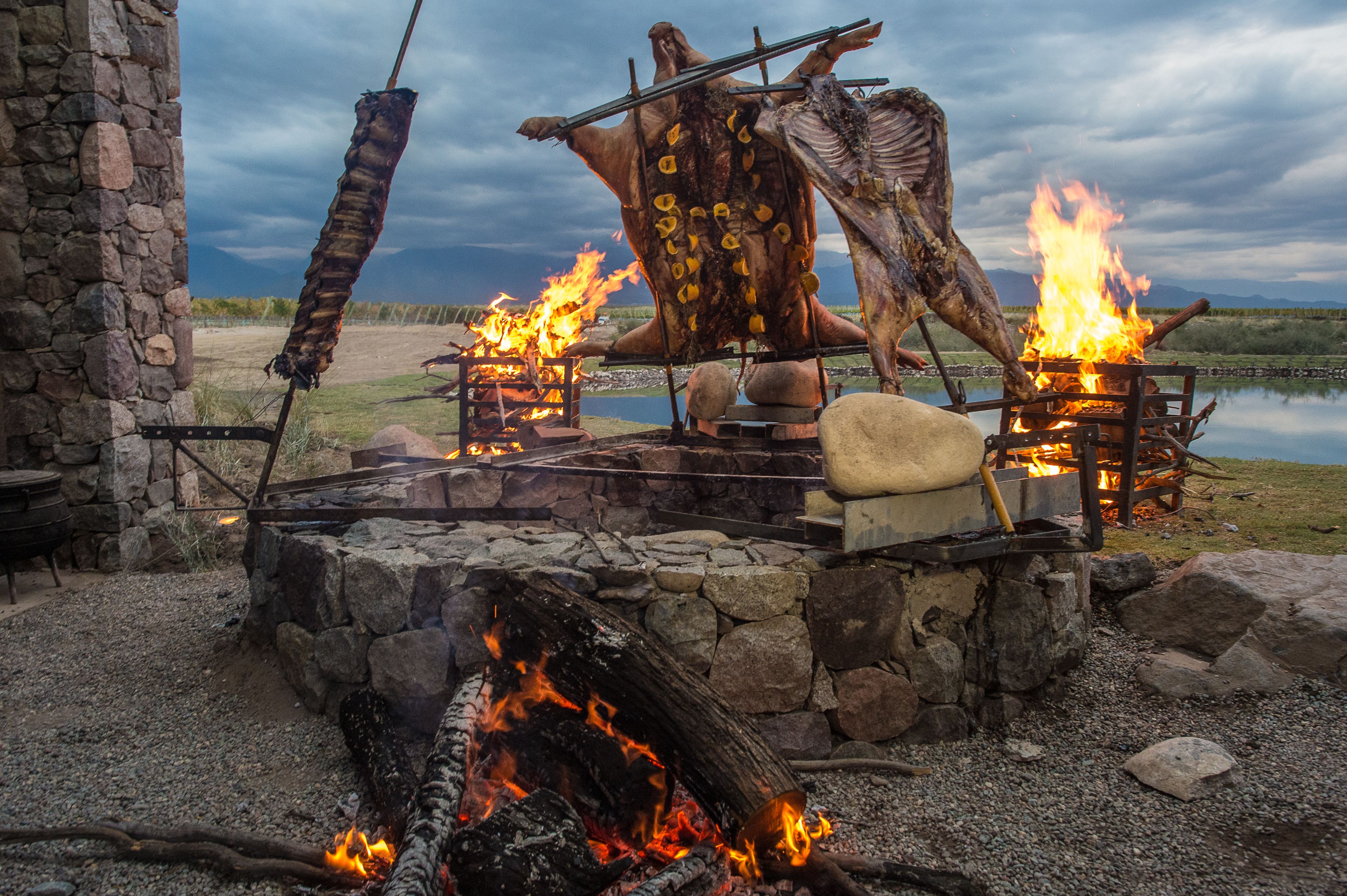 A stone structure with a fire pit and a large animal skin hanging above it.