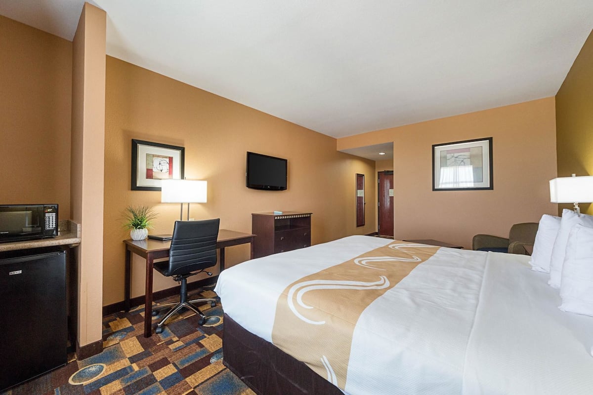 A hotel room with a bed, desk, chair, TV, and a microwave.