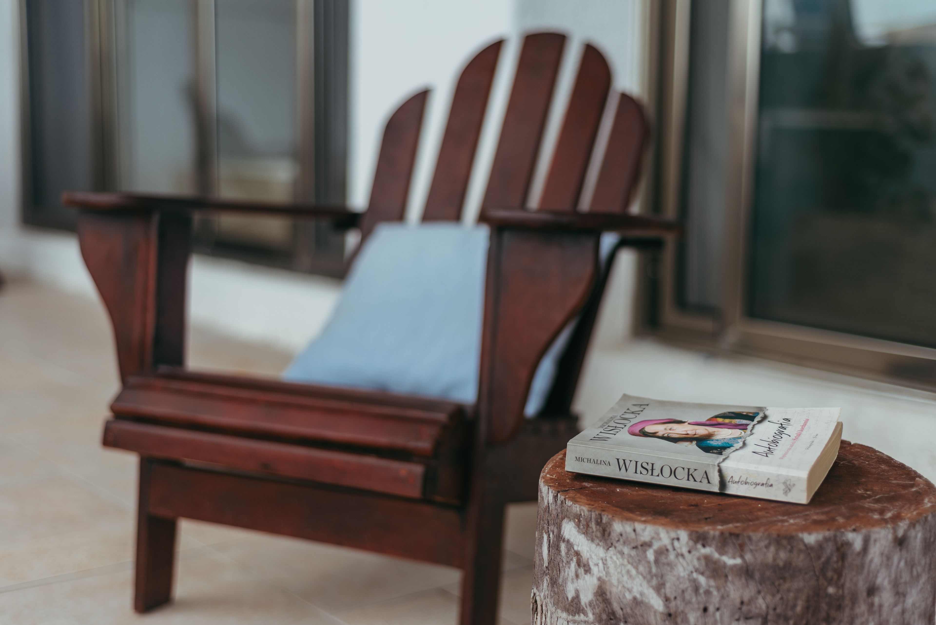 Une chaise Adirondack en bois, dotée d’un coussin bleu et surmontée d’un livre intitulé « Mikhailina Vislocka », le tout posé sur un tronc d’arbre.