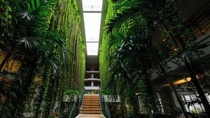 A vertical garden corridor with a central staircase, surrounded by lush greenery. - Palace in Moon Beach (Onna)