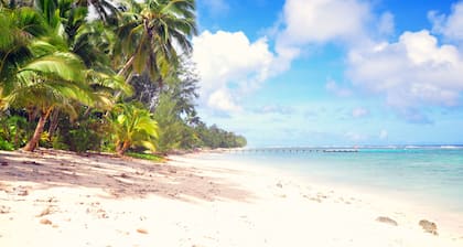 Coral Sands Apartments