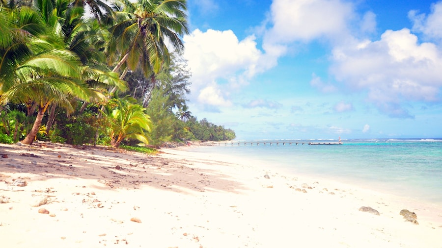 Coral Sands Apartments