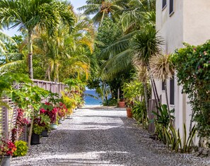 Un camino bordeado de plantas en macetas y palmeras que lleva a una playa.