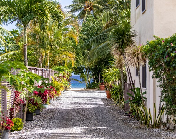 Front of property - Coral Sands Apartments (Rarotonga)
