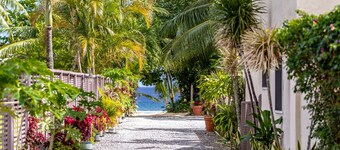 Coral Sands Apartments