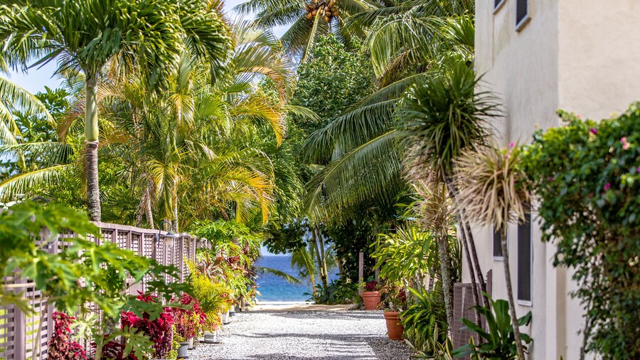 Coral Sands Apartments