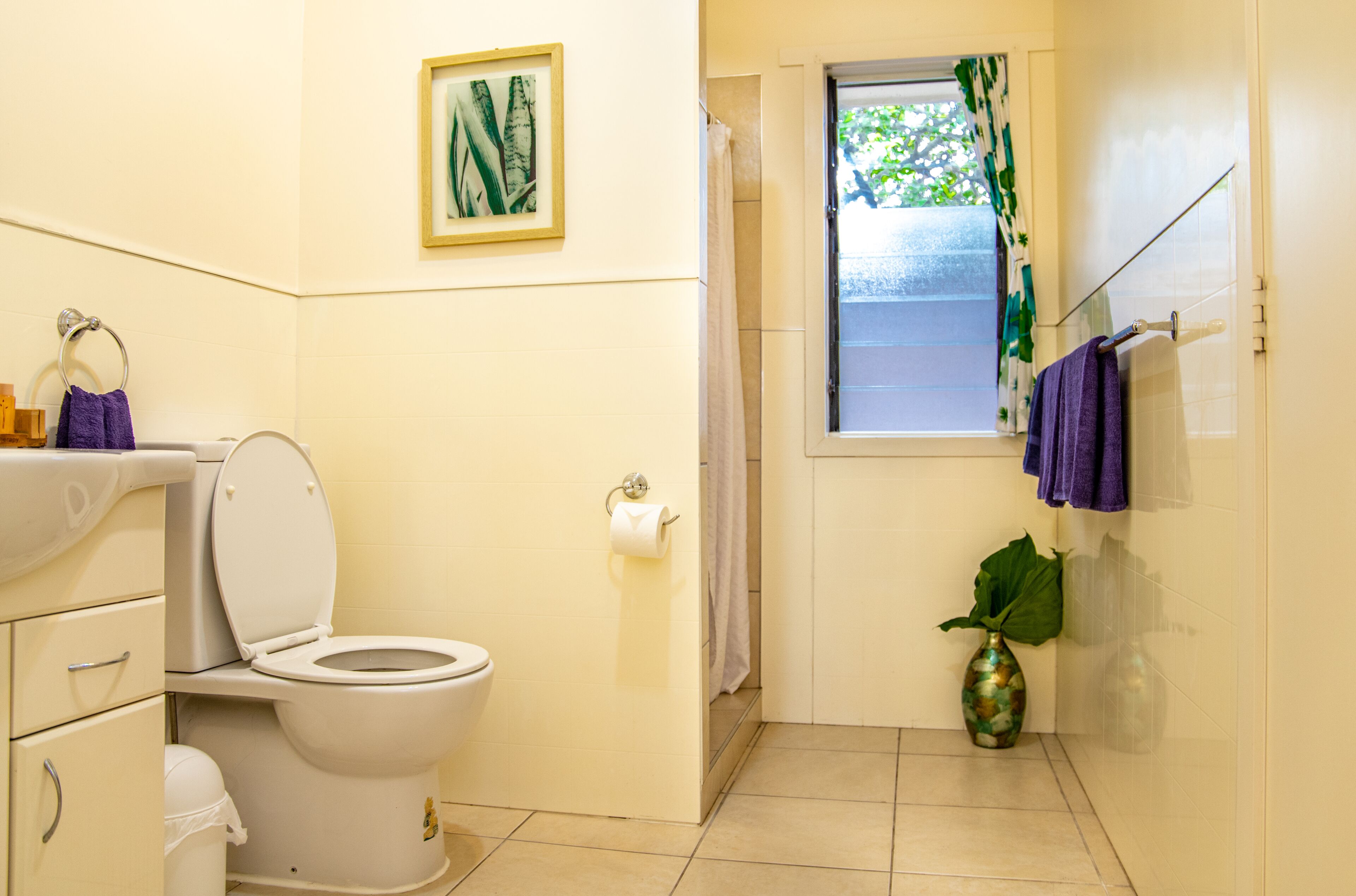 Un baño con inodoro, lavamanos, ventana con cortina, planta y un cuadro en la pared.