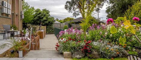 Terrein van de accommodatie