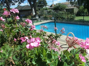 Outdoor pool, sun loungers - Parkwood Motel and Apartments (Hamlyn Heights)