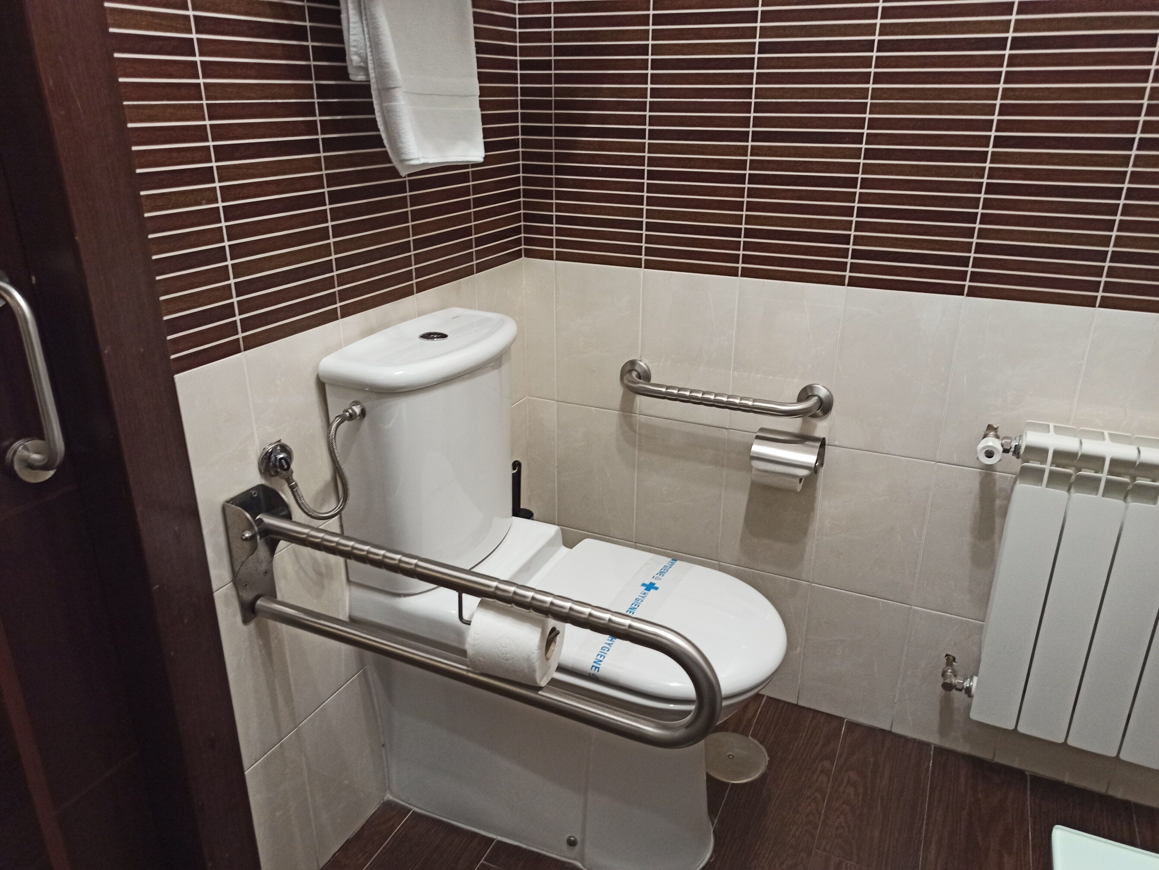 Un baño con inodoro, barras de apoyo, toallero y radiador.