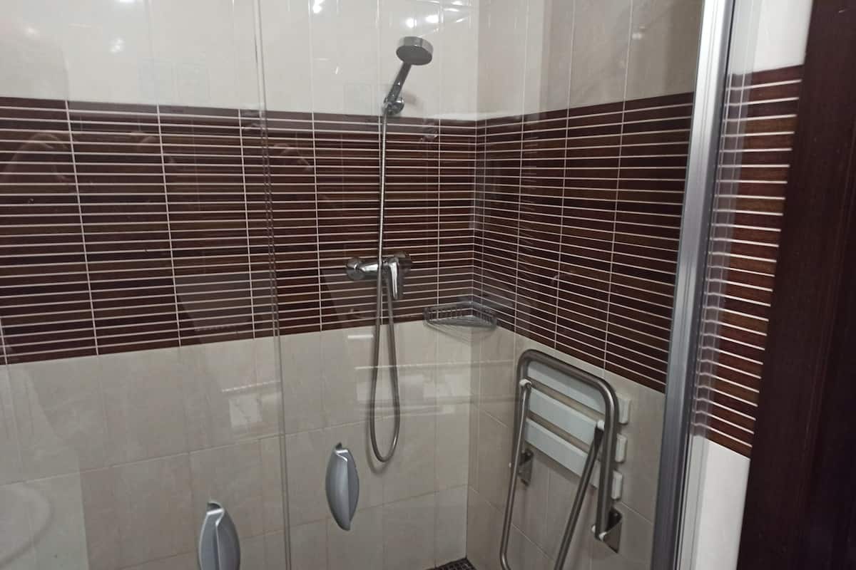 A shower area with a glass door, a handheld showerhead, and a wall-mounted faucet.