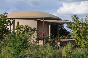 Luxury Bungalow | Exterior