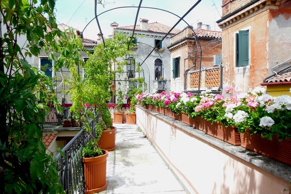 Suíte júnior, terraço | Terraço/pátio