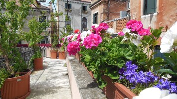 Un sendero estrecho bordeado por macetas de terracota con flores coloridas, que conduce a un edificio con tejado de baldosas y balcones.