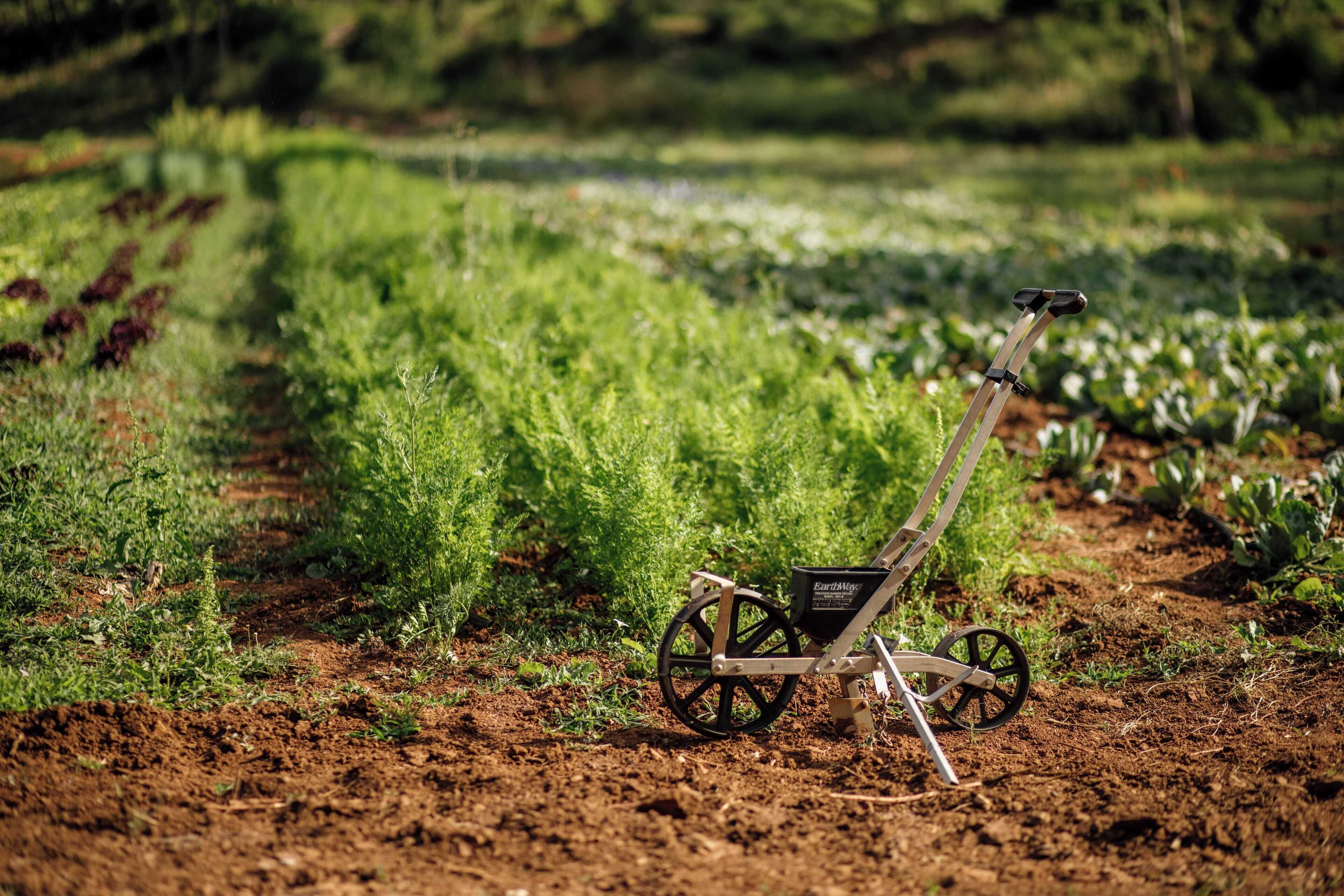 A garden with a wheelbarrow and a small black container labeled 'EarthMap.'