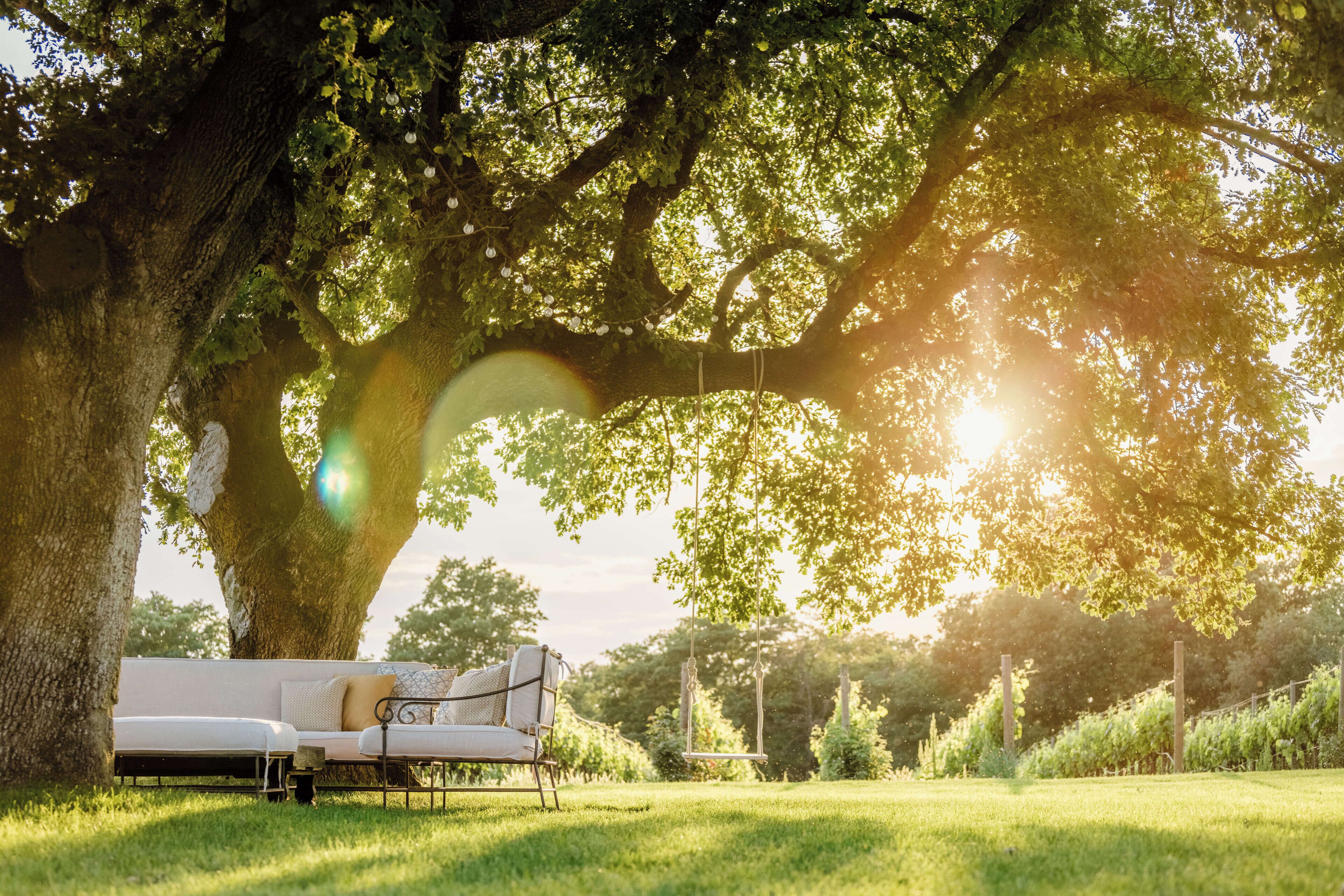 A garden setting with a white sofa under a large tree, a swing, and a grassy area.