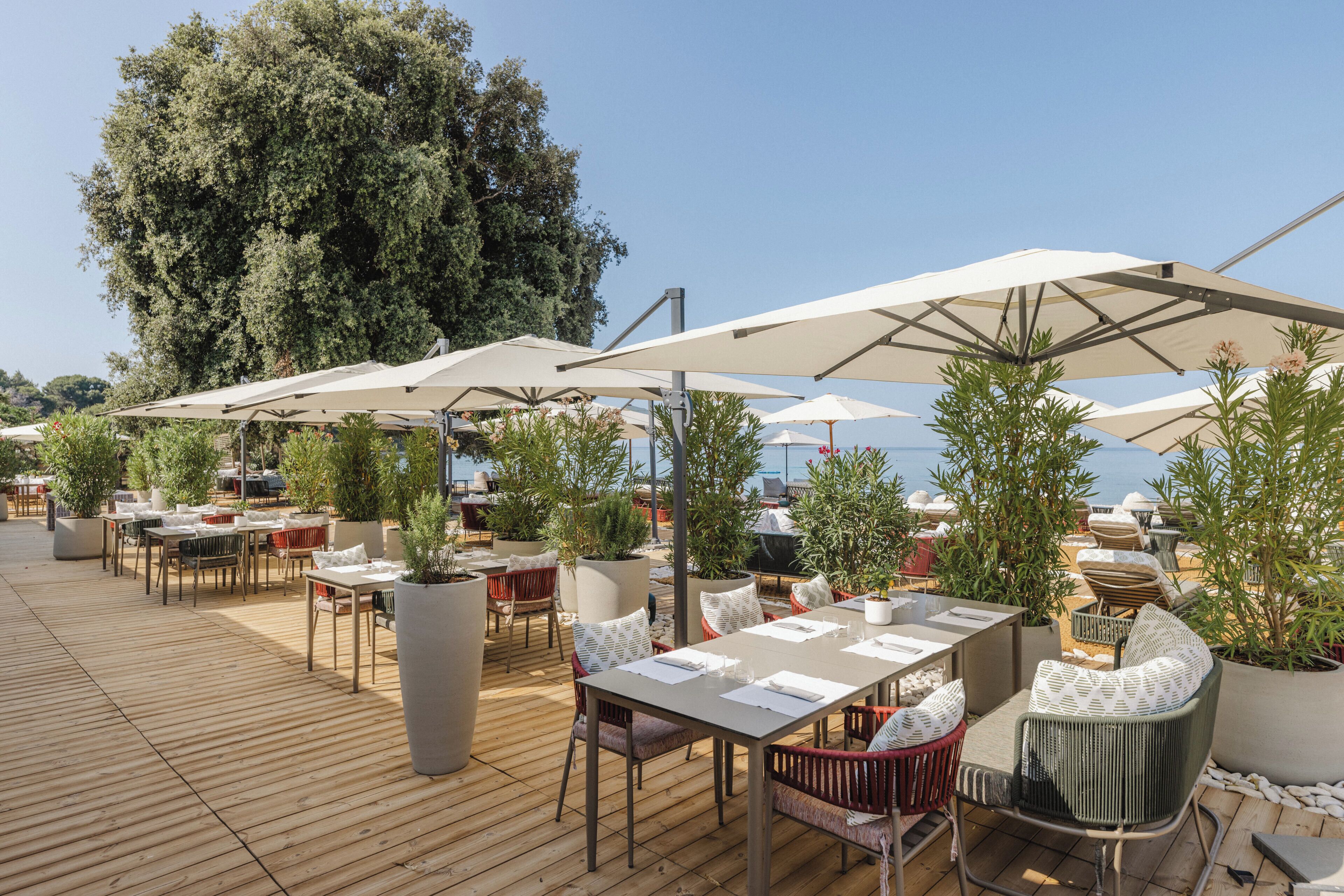 An outdoor dining area with wooden tables, chairs, and umbrellas, surrounded by potted plants and trees.