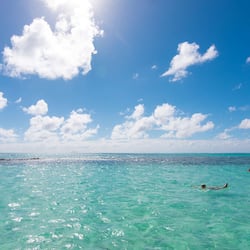 On the beach, beach umbrellas, beach towels, windsurfing