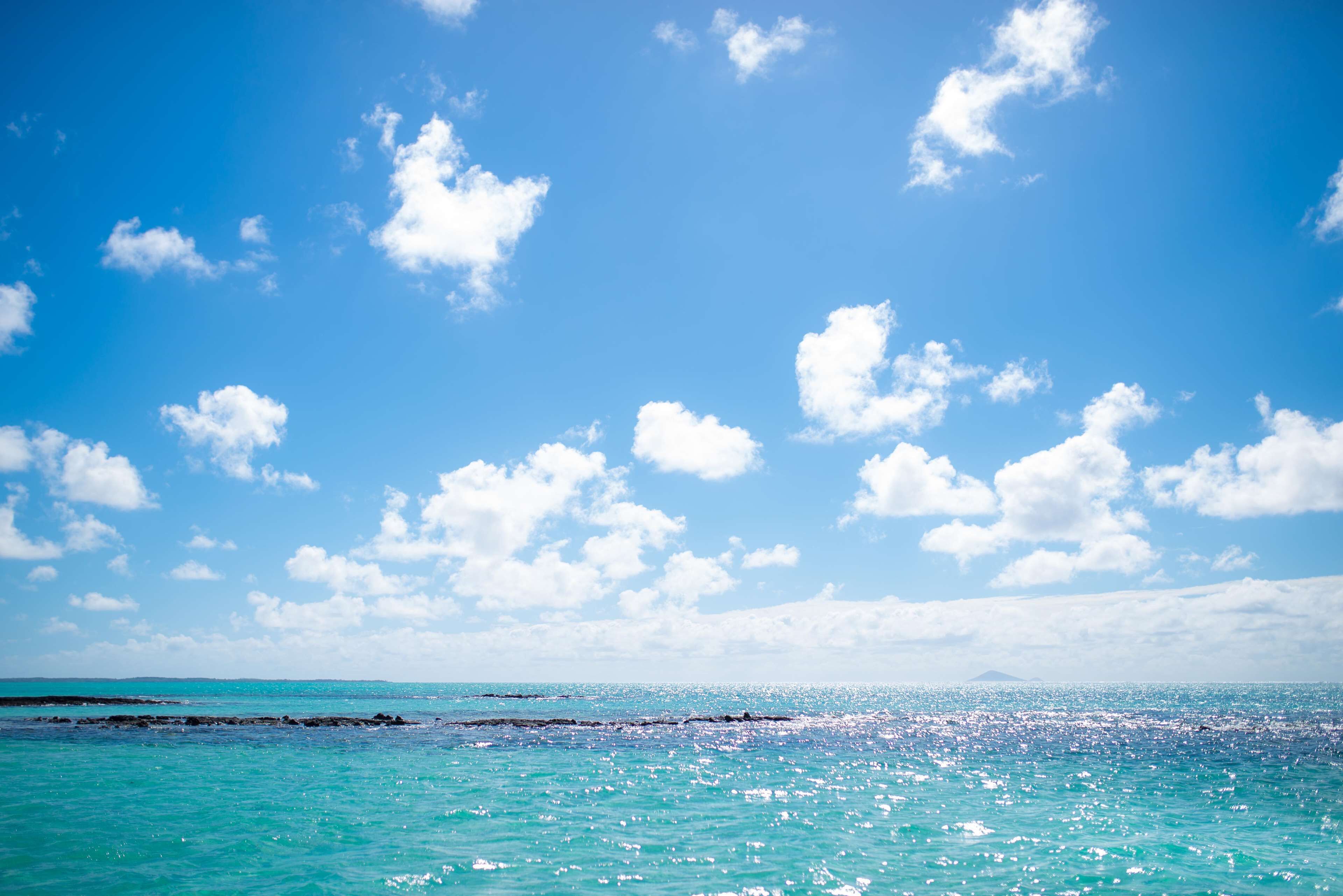 on the beach, beach umbrellas, beach towels, windsurfing