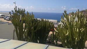 A view of the ocean from a balcony with cacti in the foreground. - HV Apartamentos Vista Taurito (Mogan)