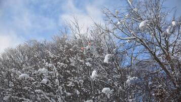 Schneebedeckte Landschaft mit kahl stehenden Bäumen und blauem Himmel.