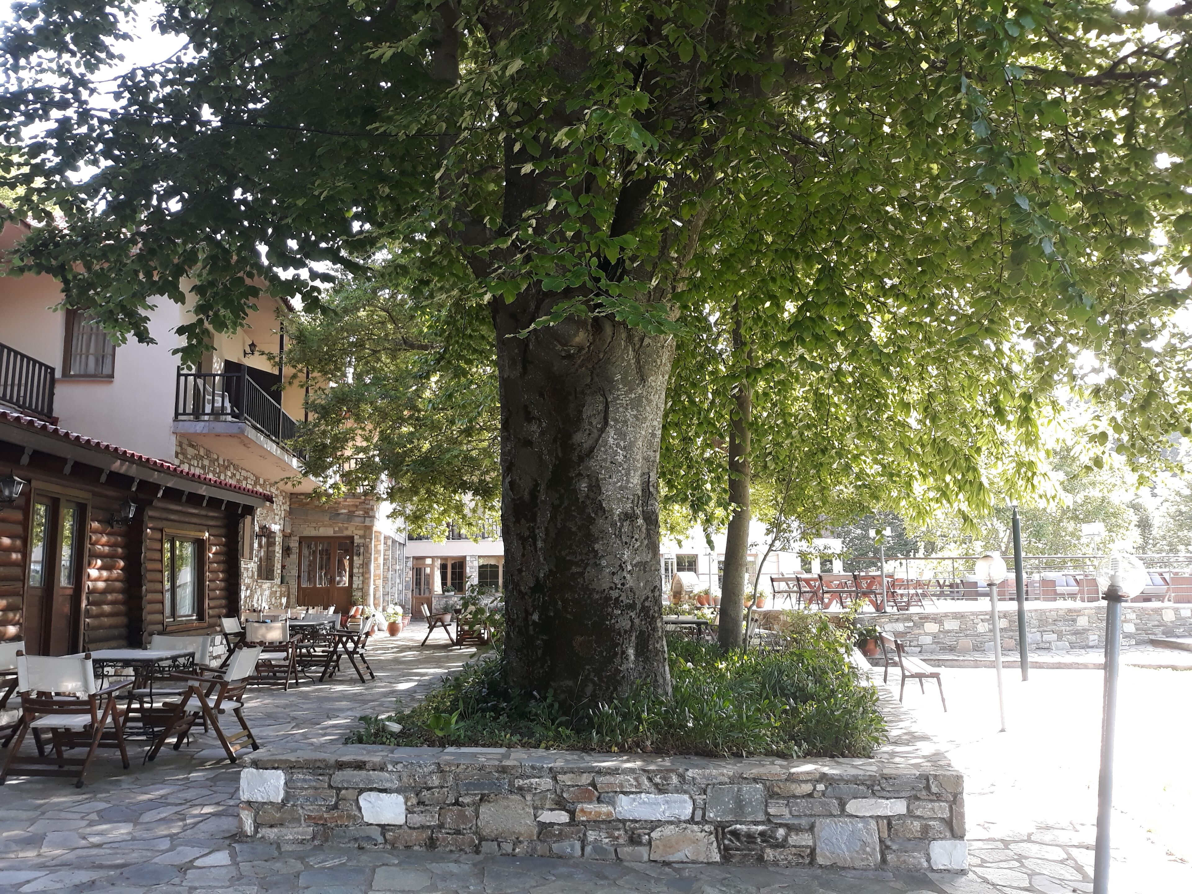Un espacio al aire libre con pavimento de piedra, mesas y sillas, rodeado por un muro de piedra y un árbol grande.