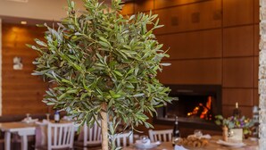 A restaurant with a wooden table, a bench, and a small tree in the center.