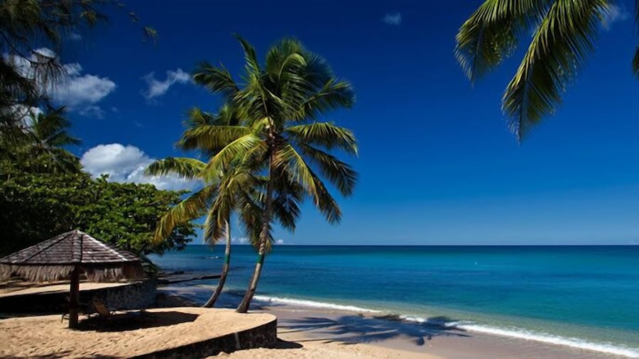 East Winds Saint Lucia