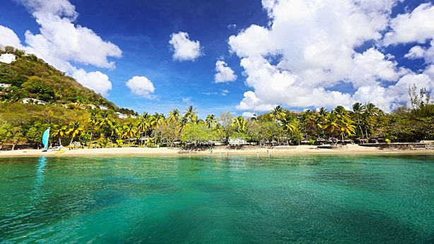 A beach with clear turquoise water, palm trees, and a hilly backdrop. - East Winds Saint Lucia (Gros Islet)