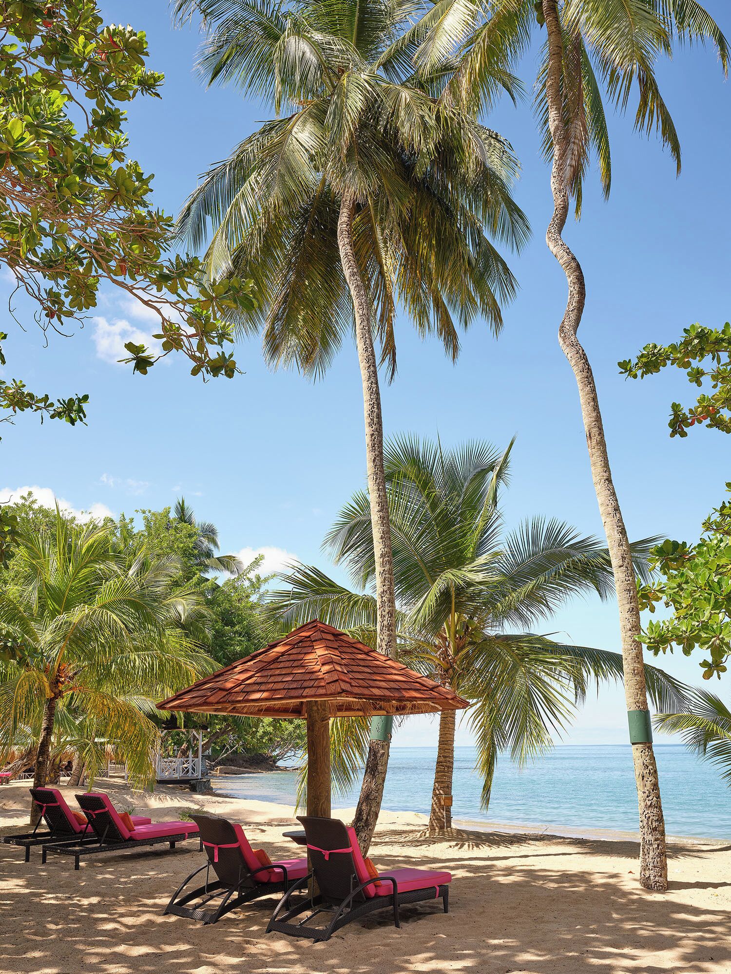 A beach with palm trees, a wooden beach umbrella, and lounge chairs.