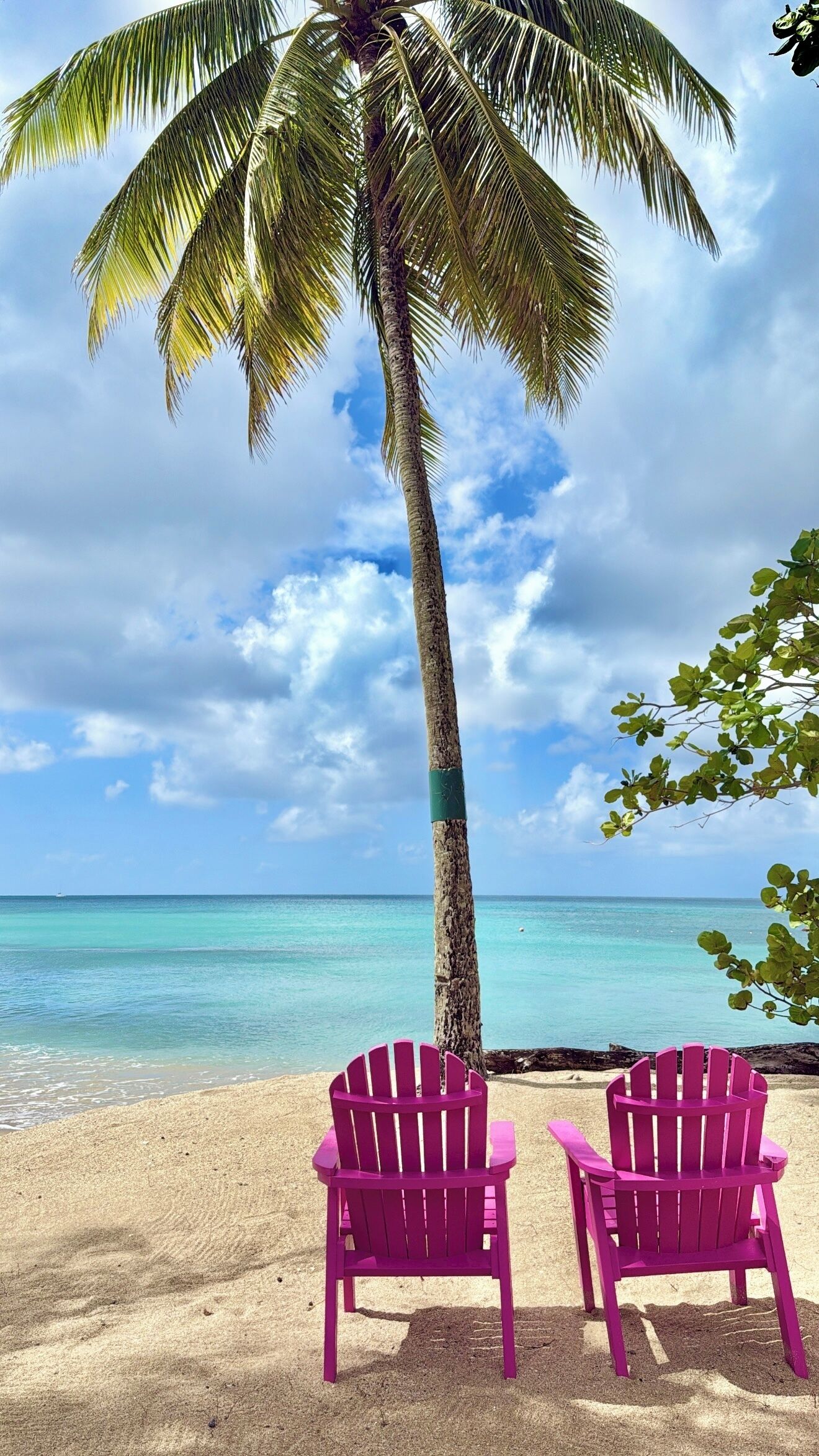 A beach scene with two pink chairs and a palm tree.