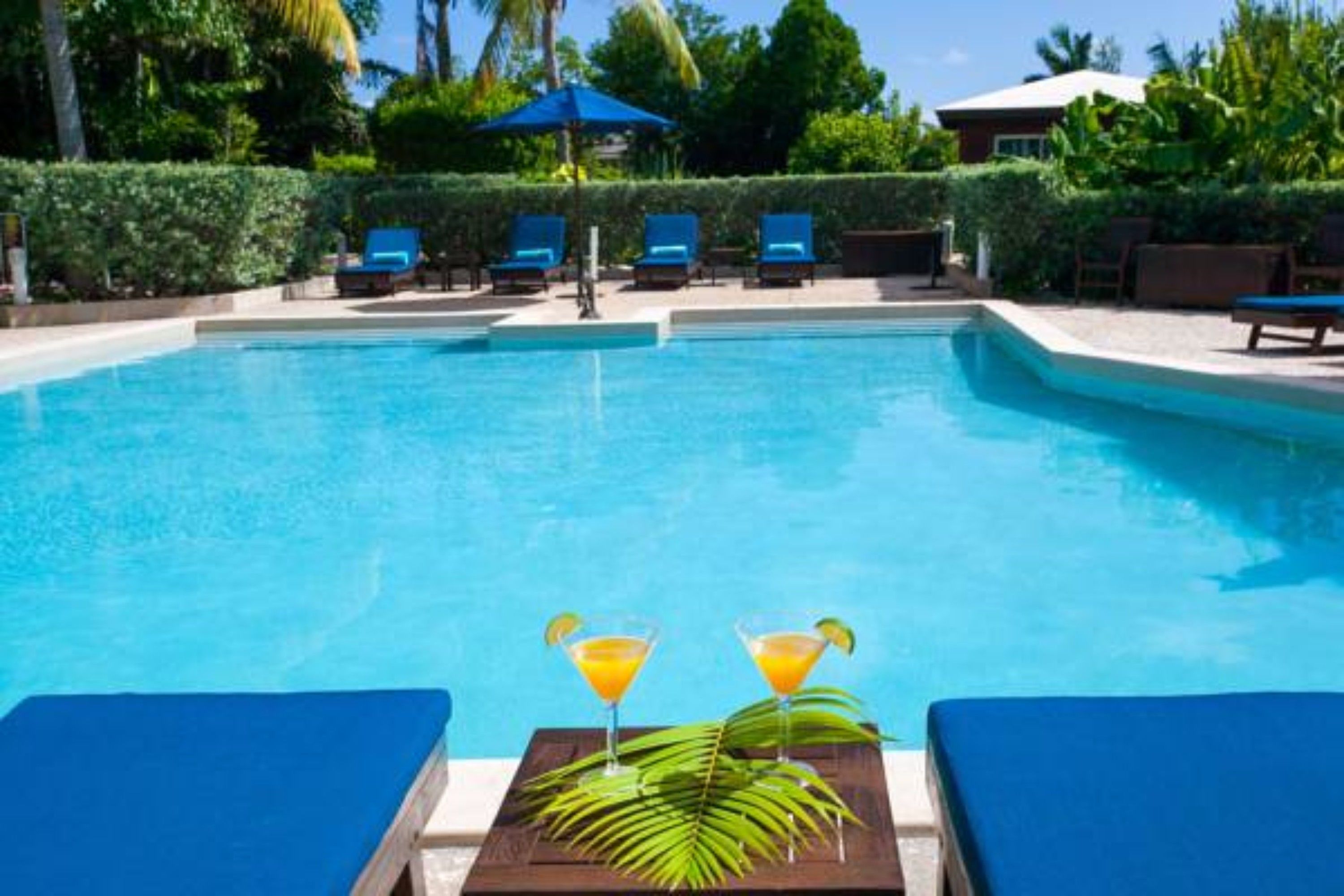 Una piscina cristalina con sillones de playa y sombrillas, y dos bebidas sobre una mesa.