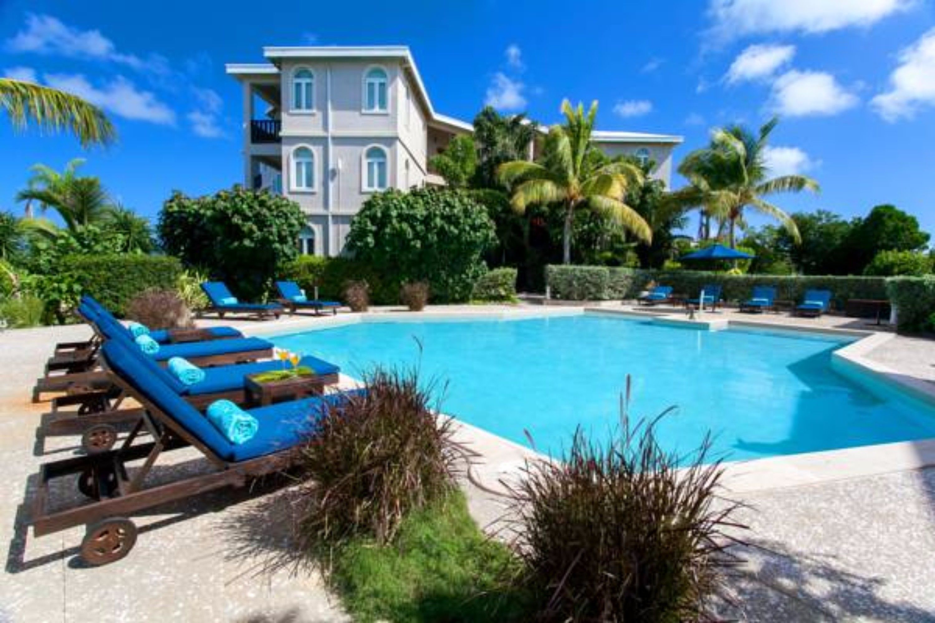 Outdoor pool, pool umbrellas, sun loungers