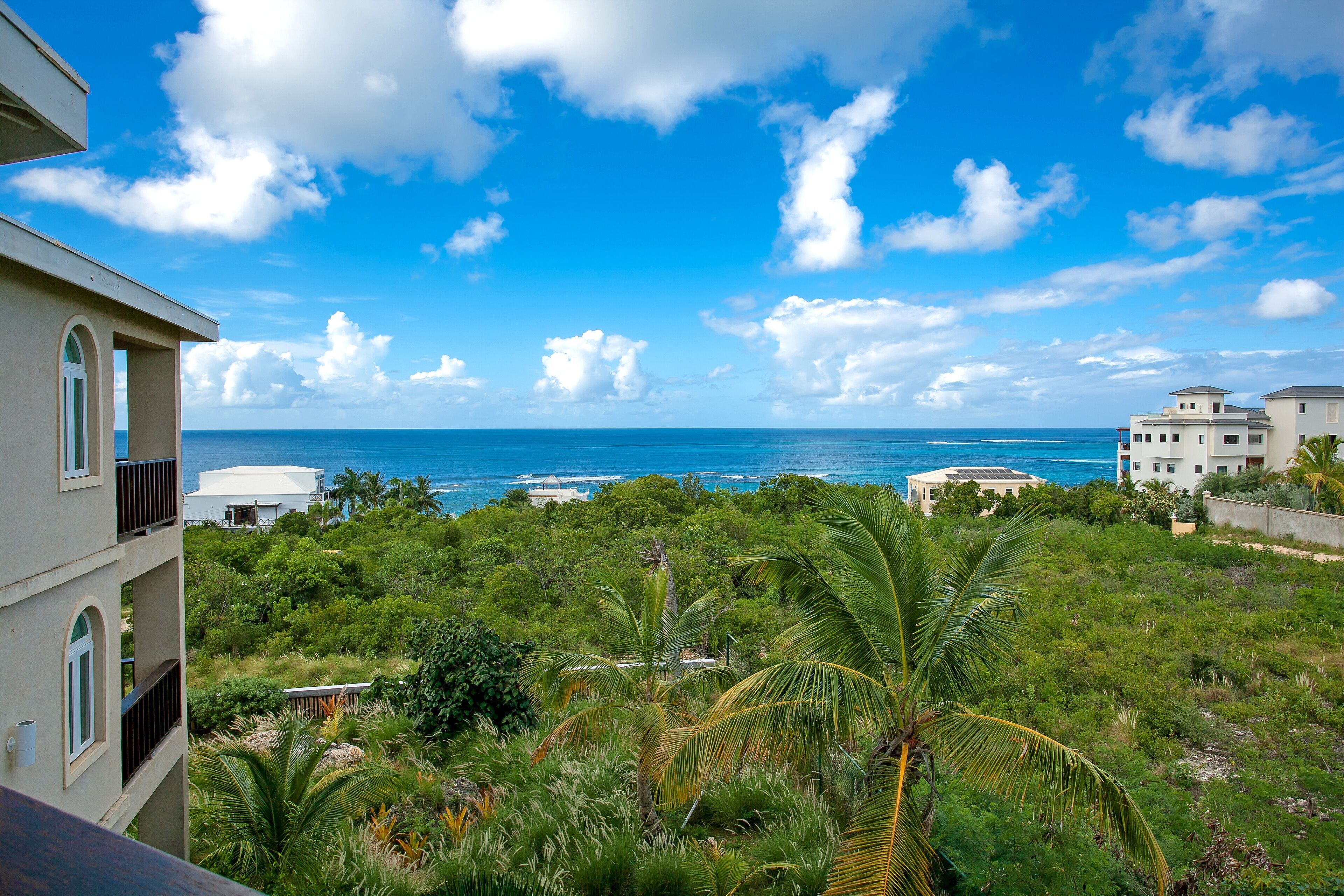 A view of a coastal area with a building overlooking the ocean, surrounded by lush greenery and palm trees.