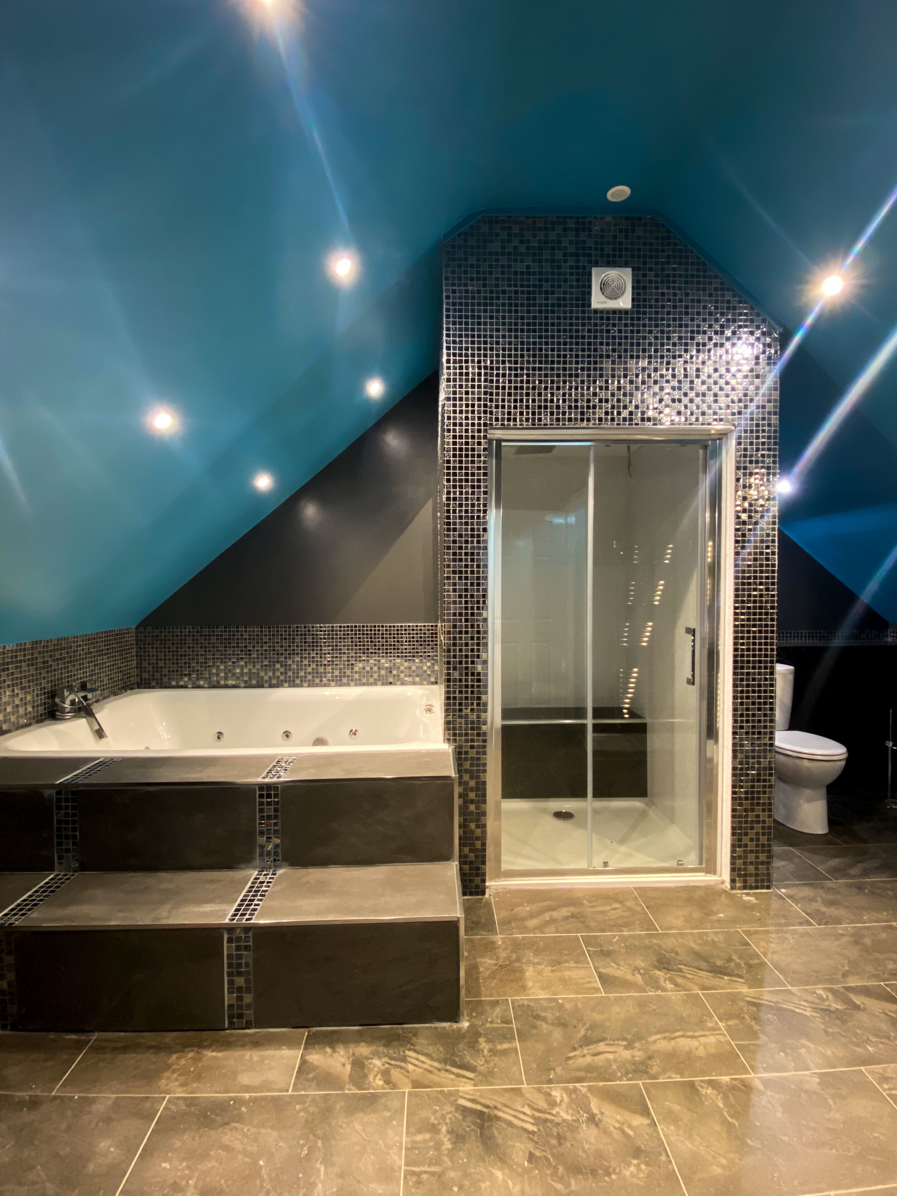 A modern bathroom with a freestanding bathtub, a glass-enclosed shower, and a toilet.
