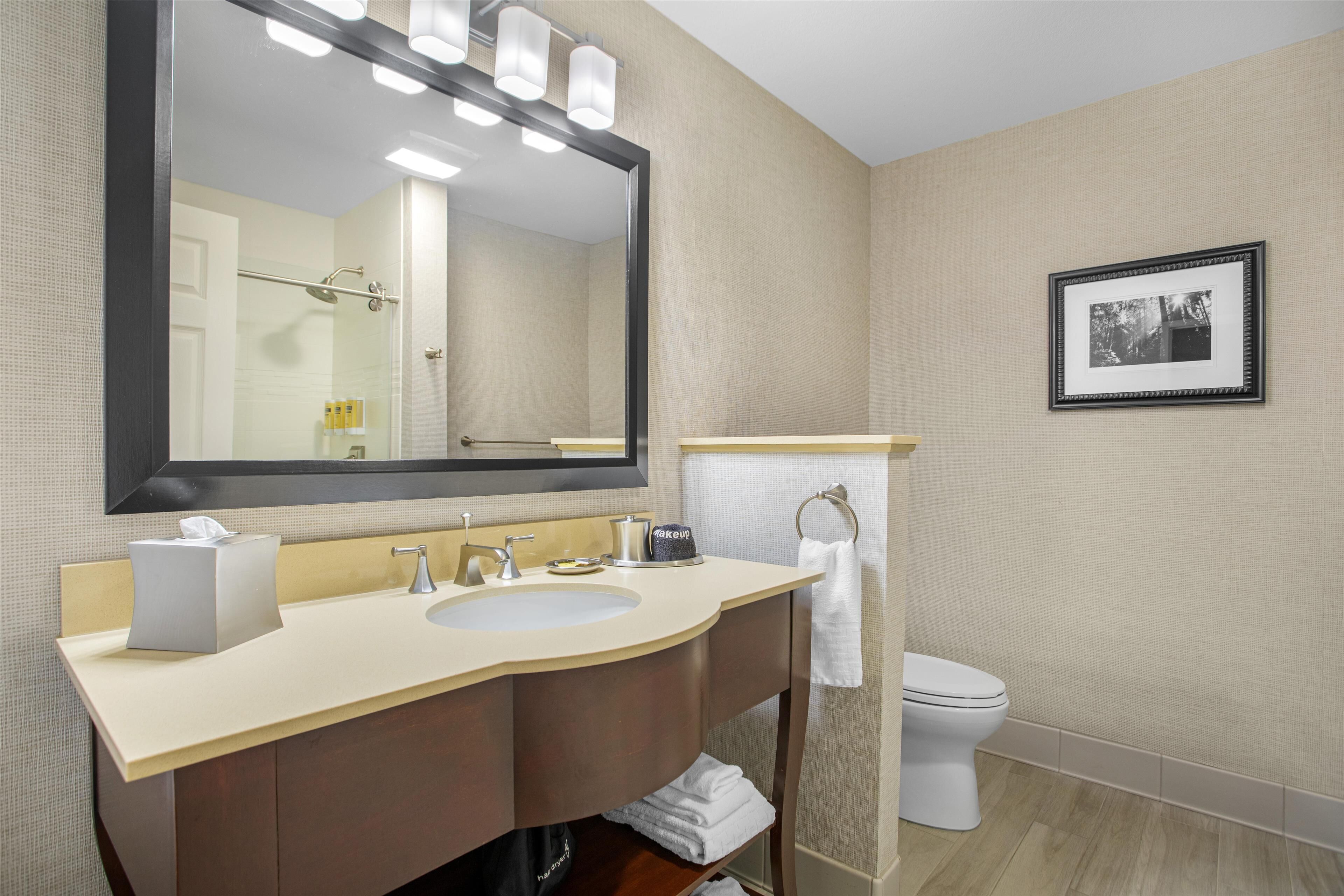 Een hotelbadkamer met een grote spiegel, een wastafel, een toilet en een foto in een lijst aan de muur.