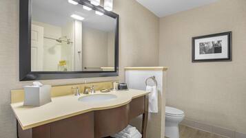 Een hotelbadkamer met een grote spiegel, een wastafel, een toilet en een foto in een lijst aan de muur.