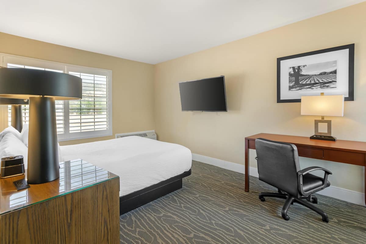 Standard Room, 1 Queen Bed, Non Smoking, Refrigerator & Microwave (2nd Floor;Shower Only) | Hypo-allergenic bedding, desk, laptop workspace, iron/ironing board