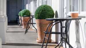A row of outdoor tables and chairs with potted plants, set on a wooden deck with a white building in the background. - Club Motel (Wagga Wagga)